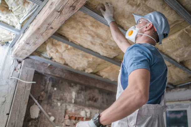 Best Blown-in Insulation in Esperance, WA